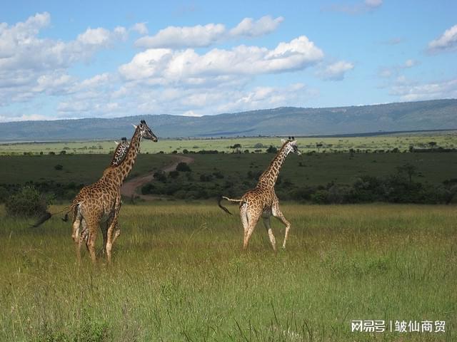 互联网赋能五金产品批发行业转型升级与市场竞争新格局
